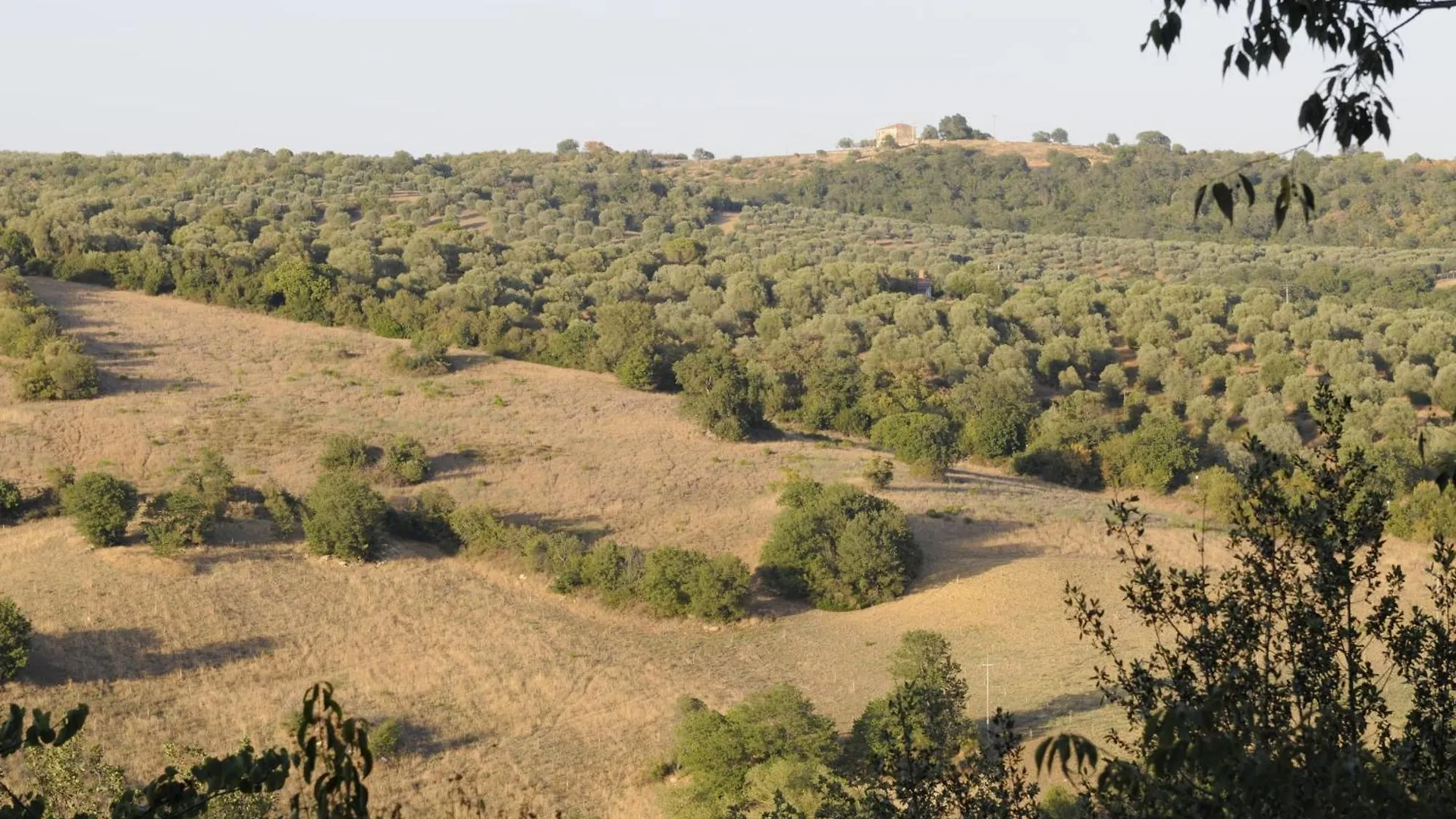 Le Tartarughe Rooms Magliano in Toscana