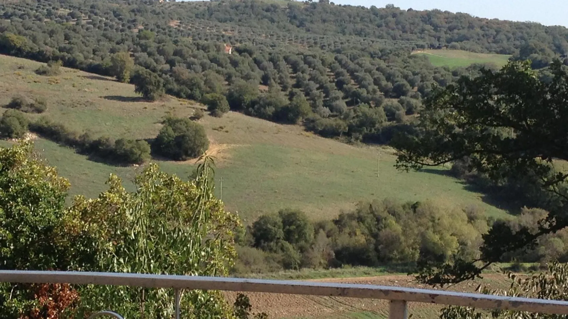 Le Tartarughe Rooms Guest house Magliano in Toscana