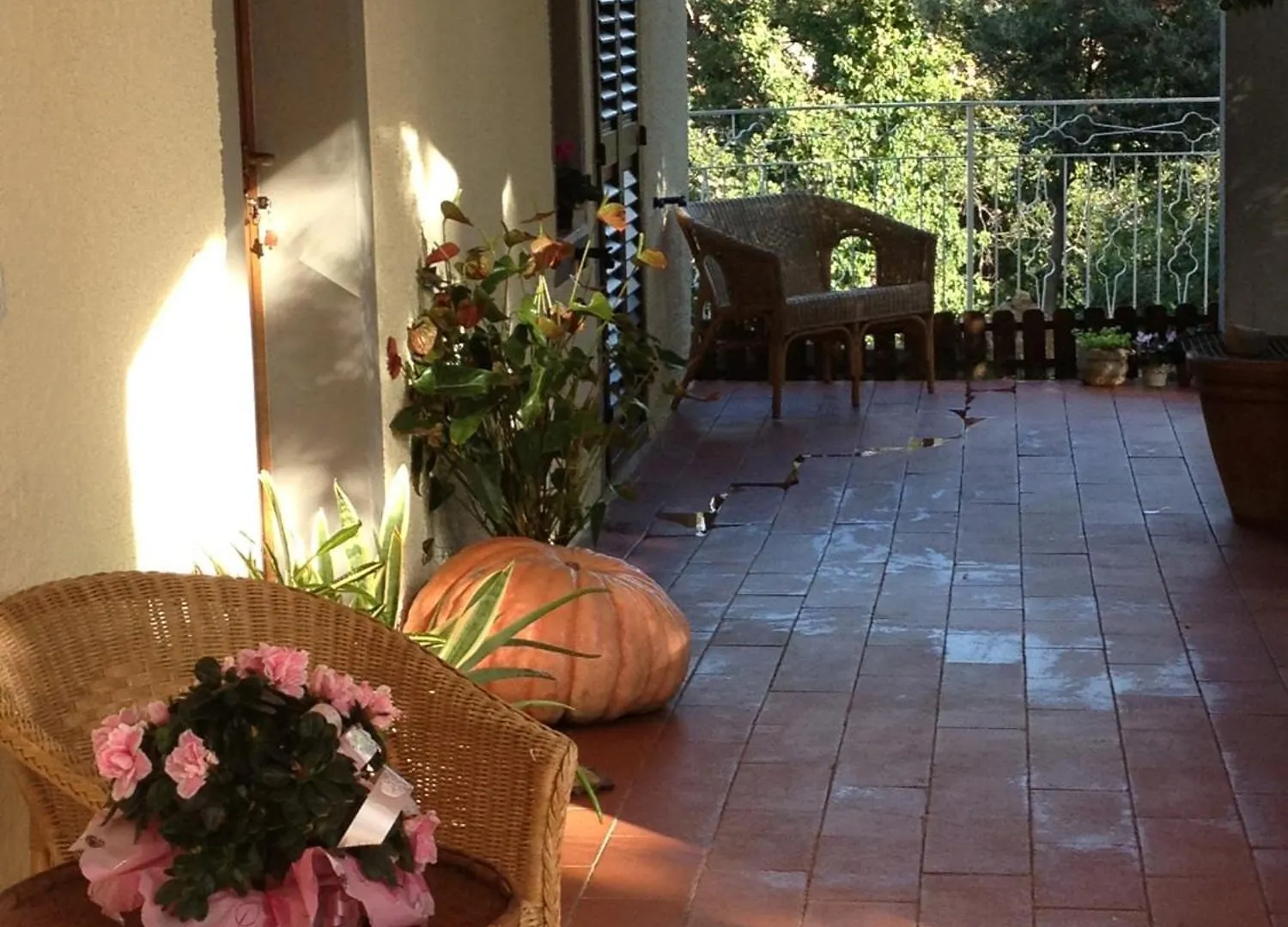 Guest house Le Tartarughe Rooms