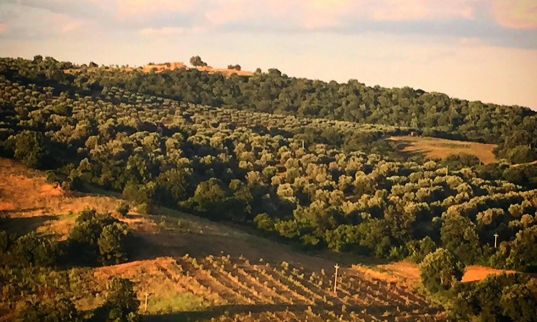Le Tartarughe Rooms 3*, Magliano in Toscana